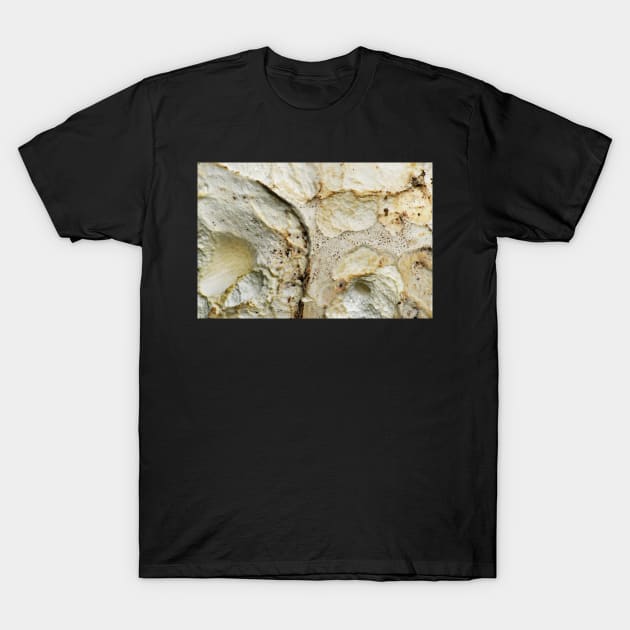 Puffball Mushroom detail T-Shirt by LaurieMinor